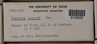 Image Associated With the Occurence